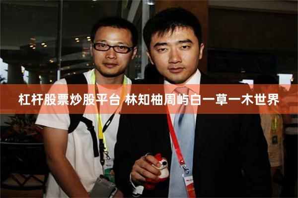 杠杆股票炒股平台 林知柚周屿白一草一木世界