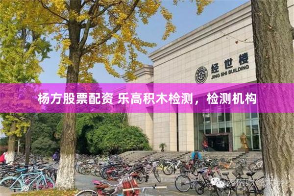 杨方股票配资 乐高积木检测，检测机构