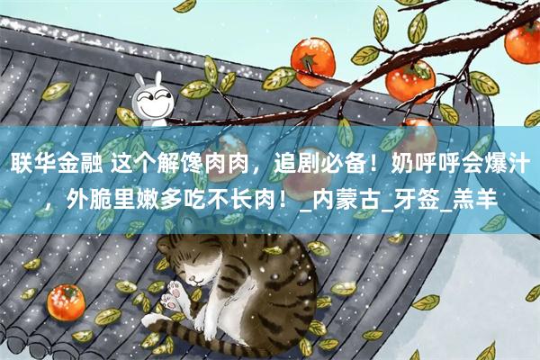 联华金融 这个解馋肉肉，追剧必备！奶呼呼会爆汁，外脆里嫩多吃不长肉！_内蒙古_牙签_羔羊
