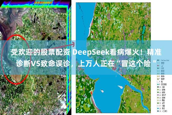 受欢迎的股票配资 DeepSeek看病爆火！精准诊断VS致命误诊，上万人正在“冒这个险＂