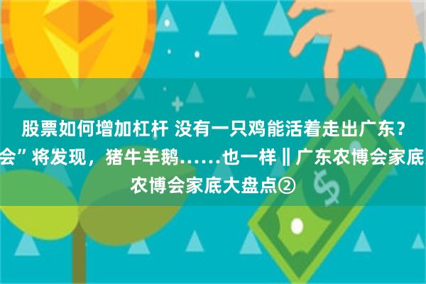 股票如何增加杠杆 没有一只鸡能活着走出广东？来“三博会”将发现，猪牛羊鹅……也一样‖广东农博会家底大盘点②