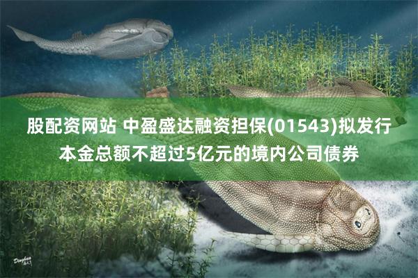 股配资网站 中盈盛达融资担保(01543)拟发行本金总额不超过5亿元的境内公司债券