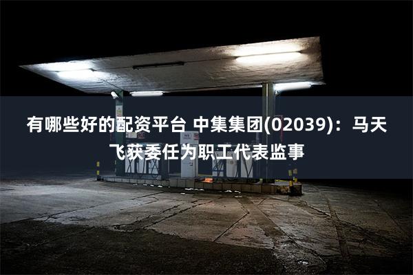 有哪些好的配资平台 中集集团(02039)：马天飞获委任为职工代表监事
