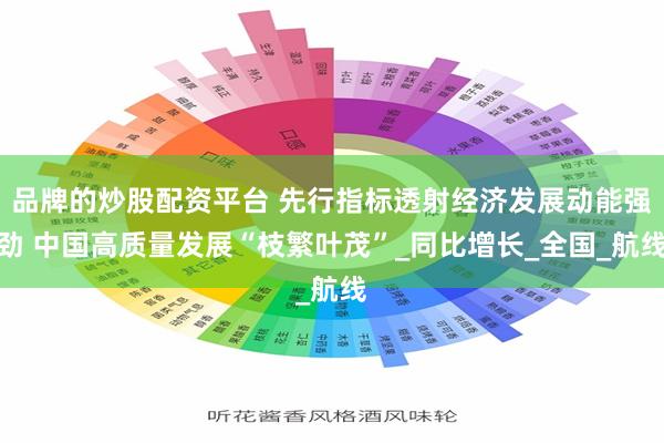 品牌的炒股配资平台 先行指标透射经济发展动能强劲 中国高质量发展“枝繁叶茂”_同比增长_全国_航线