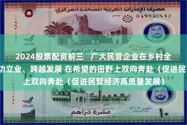 2024股票配资前三   广大民营企业在乡村全面振兴大舞台上建功立业、跨越发展 在希望的田野上双向奔赴（促进民营经济高质量发展）