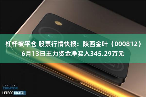 杠杆被平仓 股票行情快报：陕西金叶（000812）6月13日主力资金净买入345.29万元