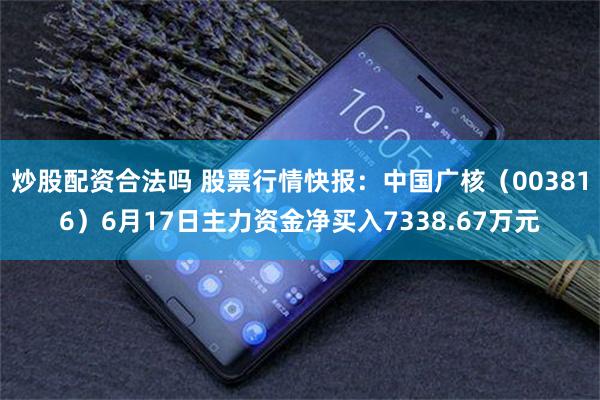 炒股配资合法吗 股票行情快报：中国广核（003816）6月17日主力资金净买入7338.67万元